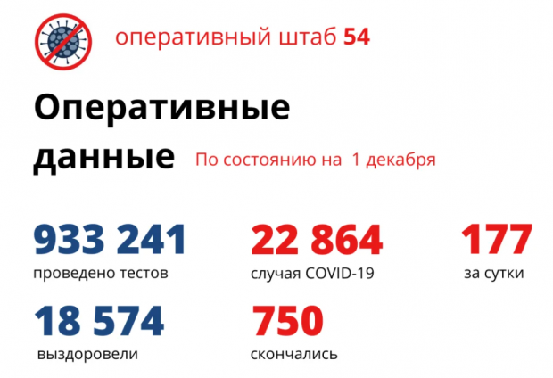 Число жертв коронавируса достигло 750 в Новосибирской области