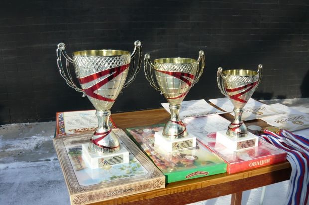 Юные лыжники боролись за кубок главы Советского района