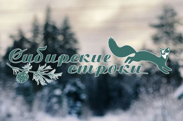 Бердский поэт стал участником видеопроекта «Сибирские строки»