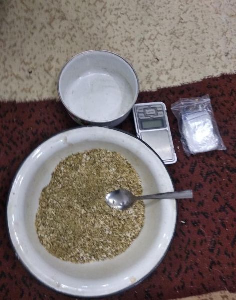 Двух наркоторговцев задержали в лесном массиве Бердска