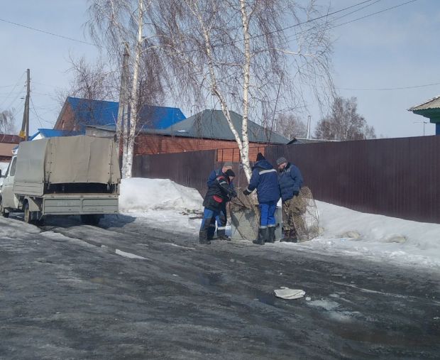 После нападения собаки на ребенка на ОбьГЭС приехал отлов