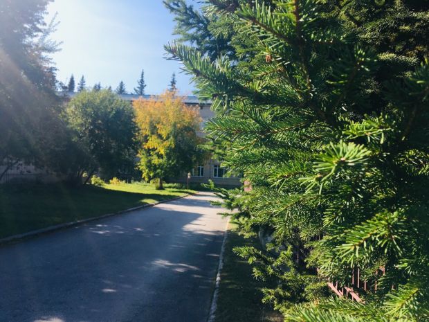 Зеленый совет создан в Новосибирске