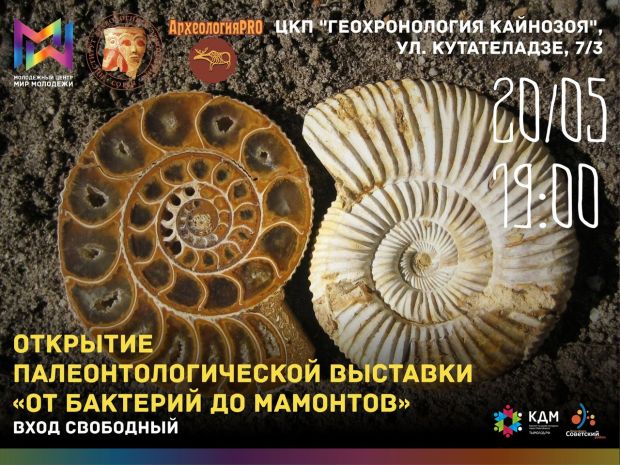 В Советском районе открывается удивительная выставка