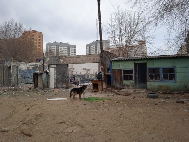 Верный друг продолжает охранять закрытую автомастерскую