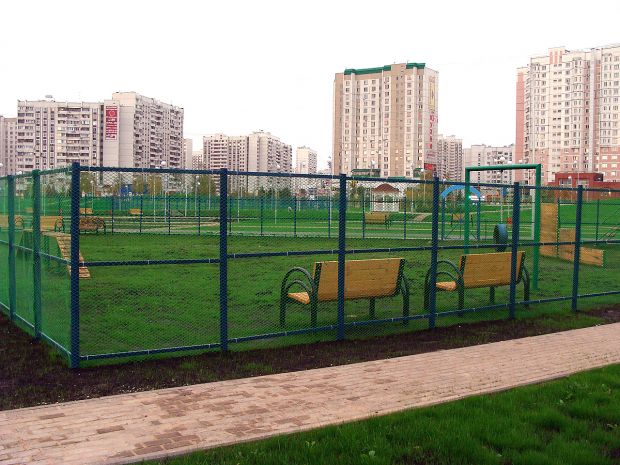 В мэрии рассказали, где запрещено выгуливать собак