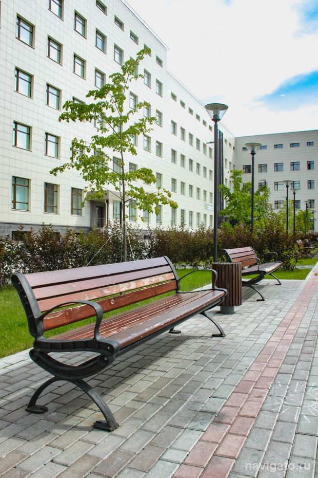 На Алмазовском медицинском форуме успешно выступили две студентки НГУ