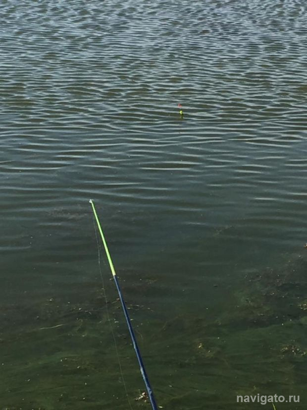 Рыбак раскаялся в незаконном вылове лещей и заплатил штраф