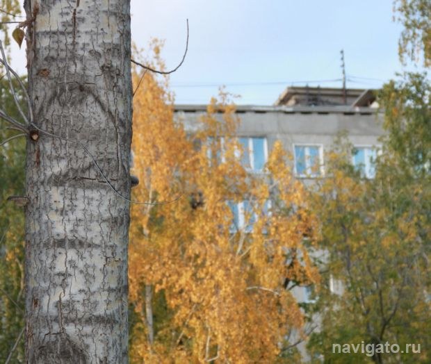 Мэрию обязали дать жильё малоимущей матери по требованию прокуратуры