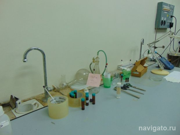 Гражданская наука начинает массовую охоту на микроорганизмы