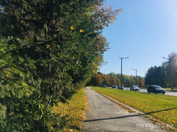 Сегодня наступил день экологического долга