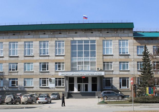 На территории ИЦиГ СО РАН появилась связь нового поколения