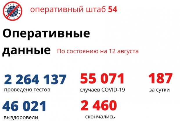 187 новосибирцев заболели коронавирусом за сутки, 122 – вылечились