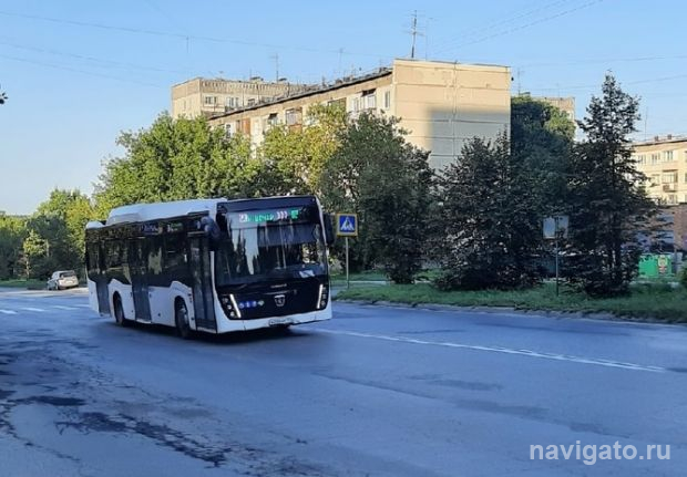 К чемпионатам мира по волейболу и хоккею купят 150 автобусов