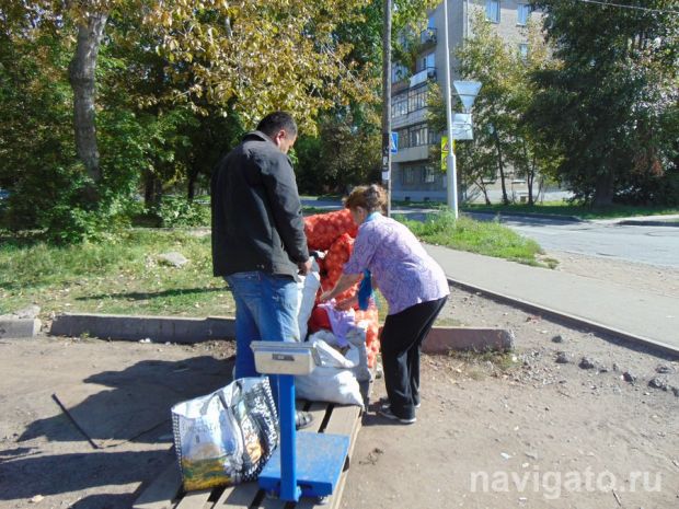 Где купить картофель на зиму в Советском районе