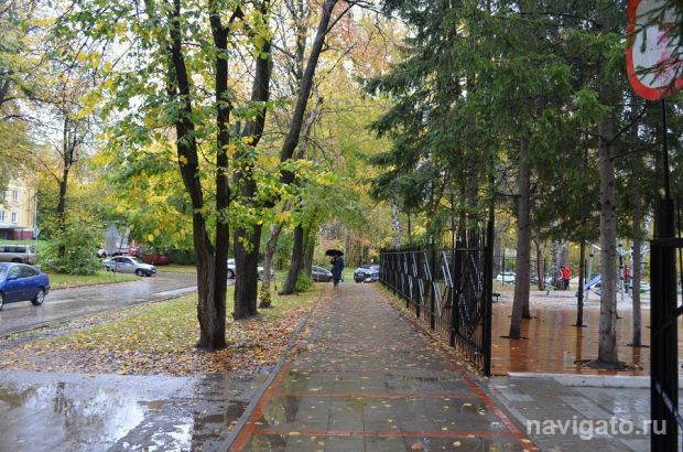 Дождь и мокрый снег пообещали синоптики в выходные