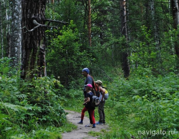 В России появился новый праздник – День отца