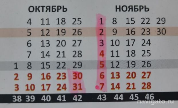 Татьяна Голикова предлагает ввести 9 нерабочих дней из-за коронавируса