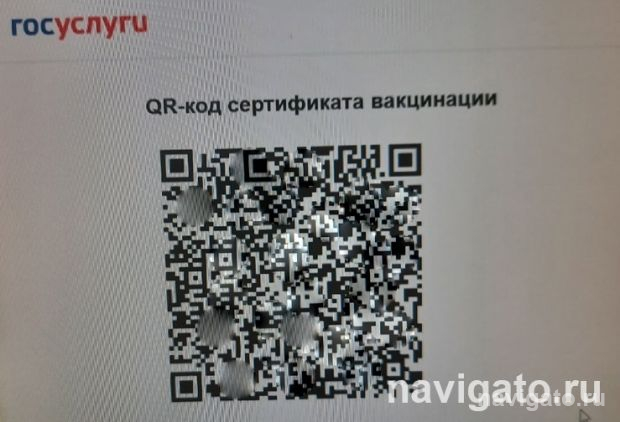 В Новосибирске начали действовать QR-коды