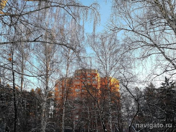 Верхняя зона Академгородка вошла в список лучших жилмассивов Новосибирска
