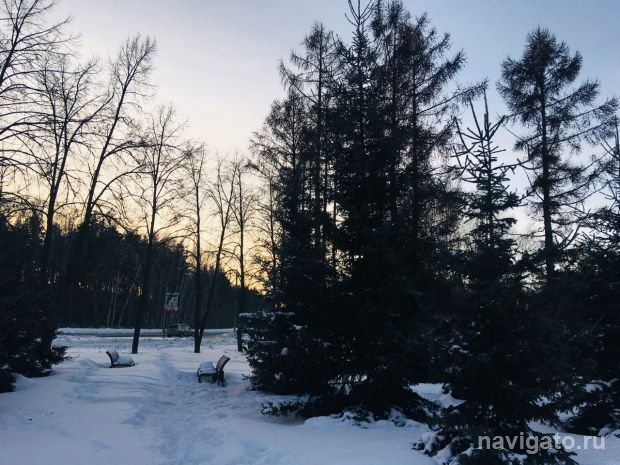 Погода на выходные: тепло и снежно