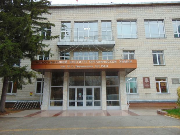 Учёным СО РАН поручили определить, чем дурно пахнет в Новосибирске