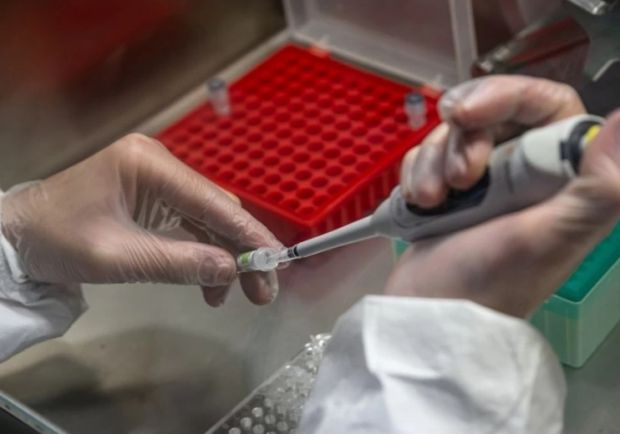 В школах Новосибирска начали тестировать учащихся на ковид