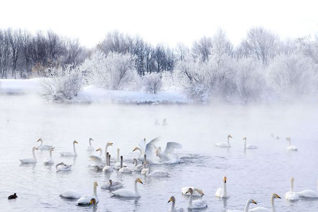Итоги фотоконкурса «Путешествия – 2021» подвели в компании «Дата Ист»