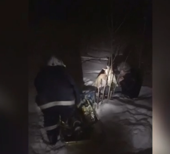 Спасатели пришли на помощь пьяному мужчине с собакой