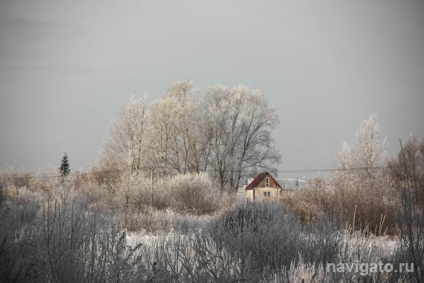 Многодетные семьи вместо земельного участка могут получить деньги