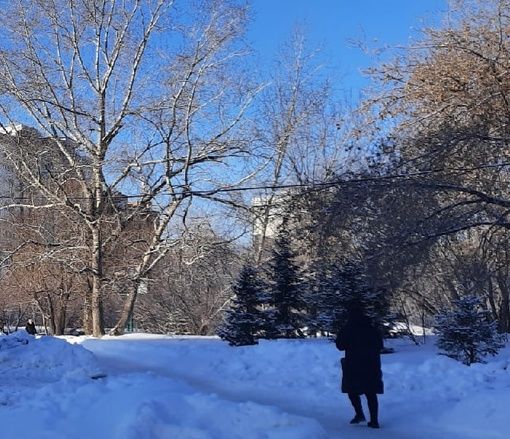 Общественники Академгородка проиграли суд по скверу на улице Демакова