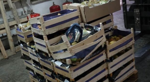 Более 400 килограммов груш уничтожили в Новосибирске