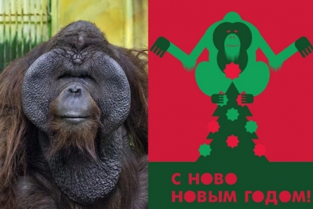 Талисман новогодней столицы начнут выбирать заново