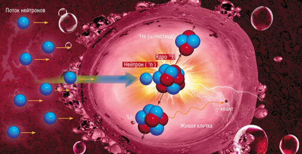 Первую в России установку БНЗТ для лечения рака собирают в Новосибирске