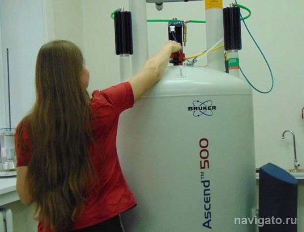 Премии и гранты мэрии могут получить студенты и ученые