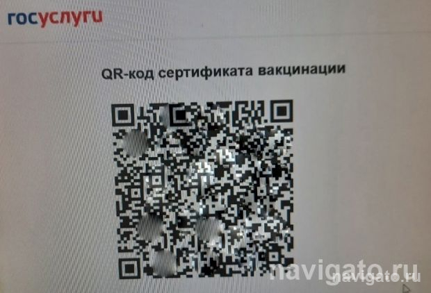 Где официально отменили QR-коды