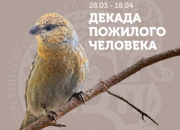 Для пенсионеров на три недели объявили бесплатный вход в зоопарк