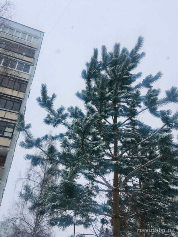 Синоптики предупреждают о сильном ветре ночью 9 апреля