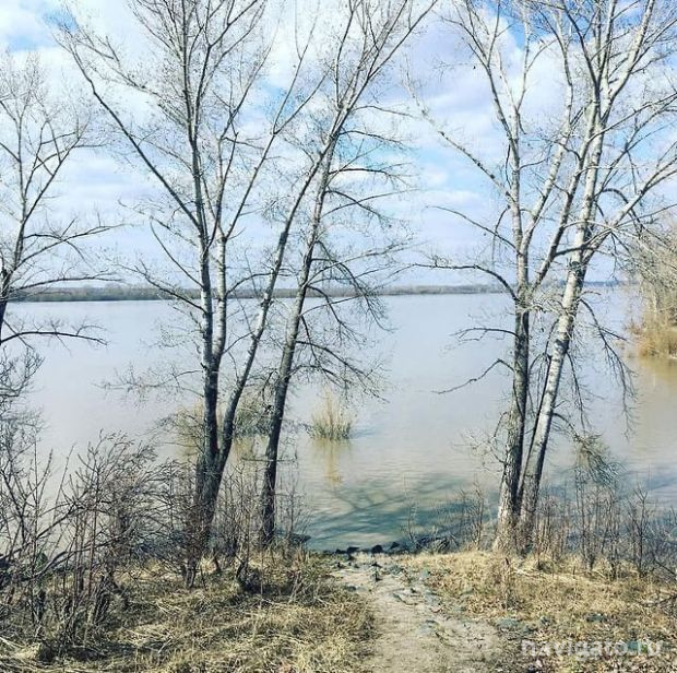 Уровень воды в Оби начал подниматься