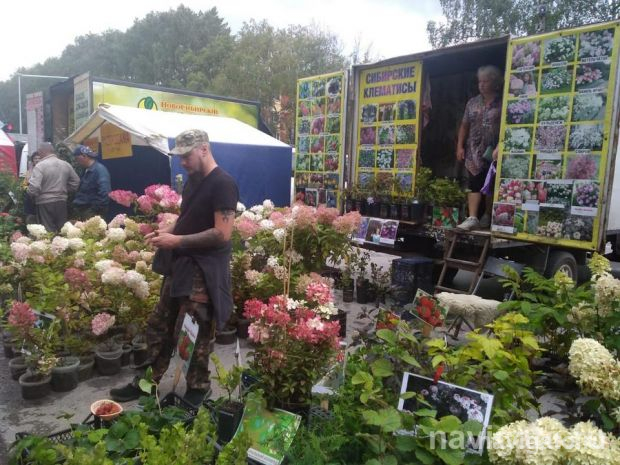 Сразу несколько ярмарок пройдут в Советском районе в выходные