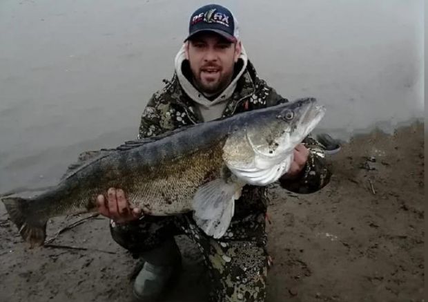 11-килограммового судака поймали в Обском море