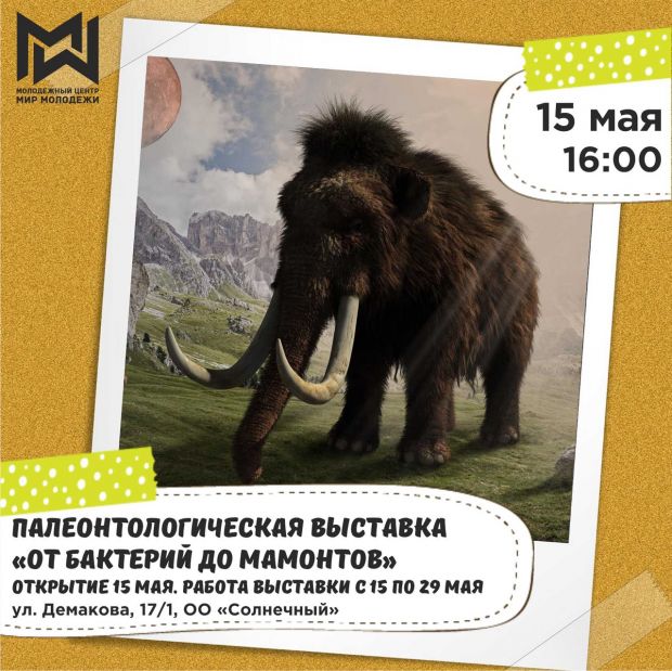 Выставка «От бактерий до мамонтов» пройдет в Академгородке