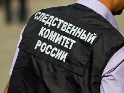 Следователи ищут причастных к убийству младенца в Новосибирске