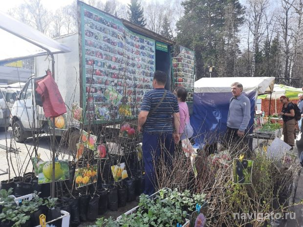 В микрорайоне ОбьГЭС проходит универсальная ярмарка