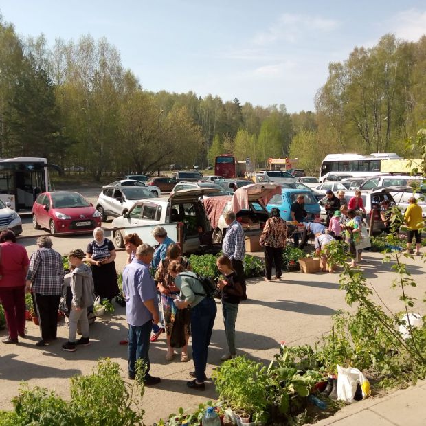 Если торгуют в неустановленных местах