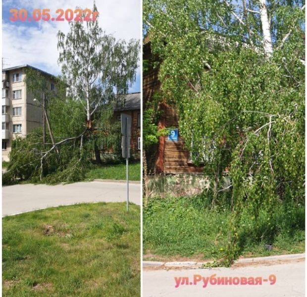 Дерево упало на тротуар около дома в микрорайоне Щ