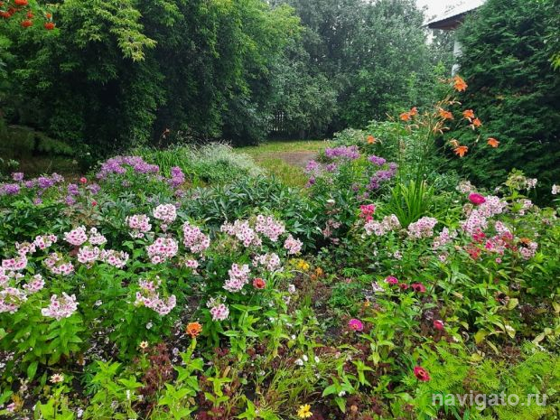 Пожилые люди на даче. Правила безопасности