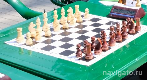 Шахматный турнир в Академгородке посвятили Дню России