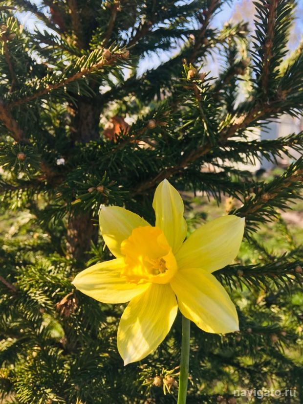 Новая рабочая неделя будет жаркой и дождливой