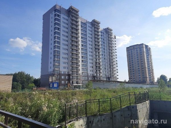 Общественники создали обращение против массовой застройки Академгородка