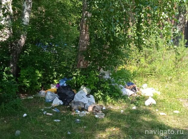 Из федерального бюджета дадут деньги на уборку несанкционированных свалок